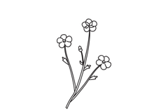Line art botanical floral meadow bouquet doodle isolated Product Image 1