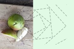 several green pears Product Image 1