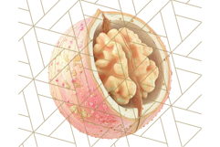 Fall Foliage Clipart PNG, Pink and Green Leaves Product Image 2