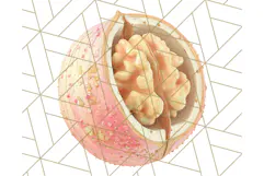 Fall Foliage Clipart PNG, Pink and Green Leaves Product Image 2