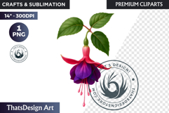 Flower Clipart PNG, Botanical Illustration Floral graphic Product Image 1