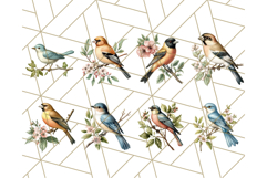 Vintage Song Bird Clipart PNG, Botanical Bird Art Clip Art Product Image 6