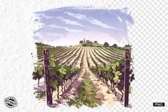 Summer Grapes Vine Clipart Product Image 1