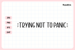 Funny Rearview Mirror Decal Sticker Saying | Not To Panic Product Image 3