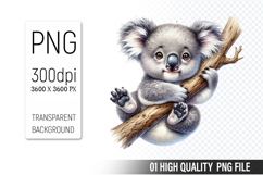 Cute koala Clipart PNG, Printable Animals, Wildlife Design Product Image 1
