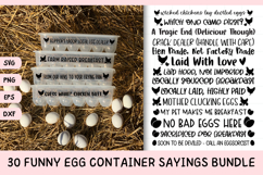 30 Funny Egg Container Sayings SVG Bundle Product Image 1