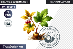 Medicinal Herbs clipart PNG, Apothecary Botanical Graphic Product Image 1