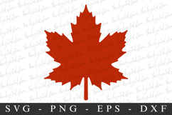 Leave Svg | Fall Svg | Svg Cut File Product Image 1