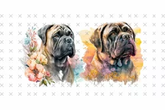 Floral Cane Corso | Dog Watercolor Drawing, 4 Dogs Png Product Image 2