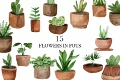 Home flowers in pots Clipart PNG- Digaital Clipart Product Image 1
