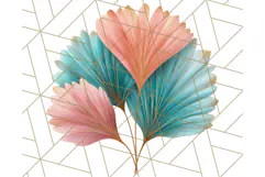 Coral and Aqua Summer Clipart PNG Pastel Tropical Icons Product Image 2