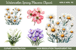 Watercolor Spring Flowers Clipart PNG Product Image 1