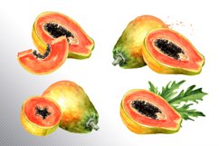 Papaya. Watercolor collection Product Image 3