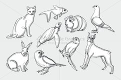 Animals &amp; Birds Graphics Product Image 2