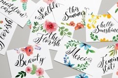 Web Font Notation Vector Flowers Product Image 6