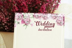 Web Font Ardina Script Product Image 4