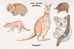 Australian Animals Watercolors Clipart Elements Kangaroo Product Image 2