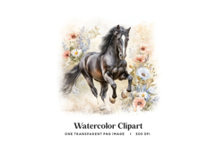 Black Stallion Horse Floral Meadow PNG Clipart Product Image 1