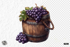 Summer Grapes Vine Clipart Product Image 1