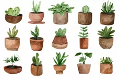 Home flowers in pots Clipart PNG- Digaital Clipart Product Image 2