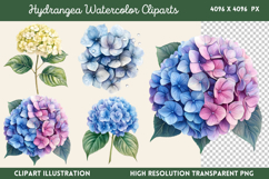 Hydrangea Watercolor Cliparts Bundle PNG Product Image 5