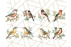 Vintage Song Bird Clipart PNG, Botanical Bird Art Clip Art Product Image 7