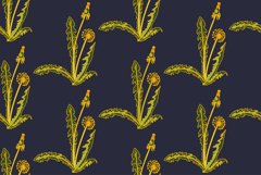 Botanical abstract seamless pattern background with dandelio Product Image 1