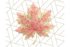 Fall Foliage Clipart PNG, Pink and Green Leaves Product Image 3