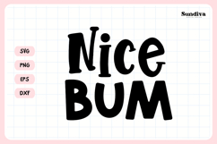 Funny Bathroom Sign Saying SVG | Nice Bum Product Image 3