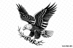 USA Eagle svg | 4th of july Svg | Svg Cut Files Product Image 1