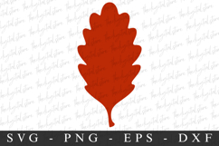 Leave Svg | Fall Svg | Svg Cut File Product Image 1