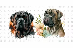 Floral Cane Corso | Dog Watercolor Drawing, 4 Dogs Png Product Image 3