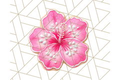 Summer Iced Cookie Clipart PNG, Cute Tropical Cookies Product Image 3