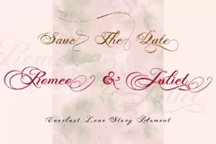 Photograph - Script Wedding Font - Free Font of The Week Product Image 7