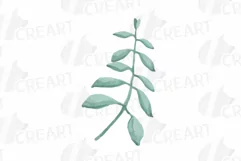 Cotton bolls and fir branch leafy autumn and winter decor Product Image 11