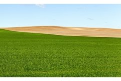 green cereal Product Image 1