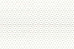 Ornamental seamless patterns. Product Image 11
