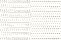 Ornamental seamless patterns. Product Image 11