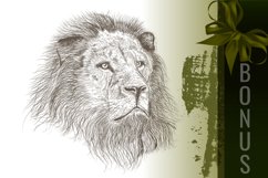 Bundle of brushes for illustrator Product Image 5