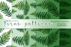 Watercolor ferns patterns Product Image 1