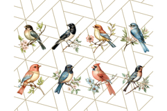 Vintage Song Bird Clipart PNG, Botanical Bird Art Clip Art Product Image 8