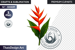 Flower Clipart PNG, Botanical Illustration Floral graphic Product Image 1