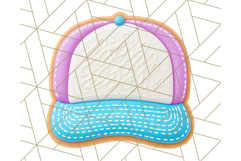 Baseball Cap Cookie Clipart PNG, Fun Hats in Cute Styles Png Product Image 4