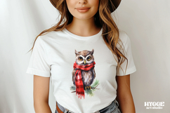 Christmas Owl Sublimation PNG Winter Cute Owls Product Image 2