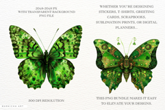 St Patricks Day Butterfly Clipart Product Image 2