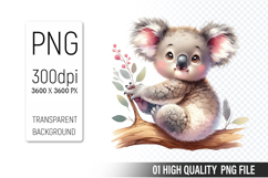 Cute koala Clipart PNG, Printable Animals, Wildlife Design Product Image 1