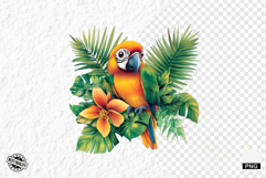Tropical Birds Clipart - Summer Birds PNG Product Image 1