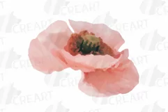Watercolor bridal flowers on summer berry colors clip art Product Image 7