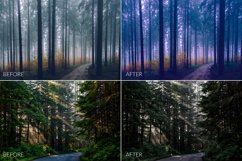 Dark Forest Lr Presets Product Image 8