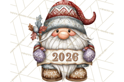 Winter Metallic New Year Gnomes PNG Clipart Product Image 4